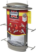 More Birds X-1 Squirrel-Proof Bird Feeder with 4.2-Pound Bird Seed Capacity and Four Feeding Ports