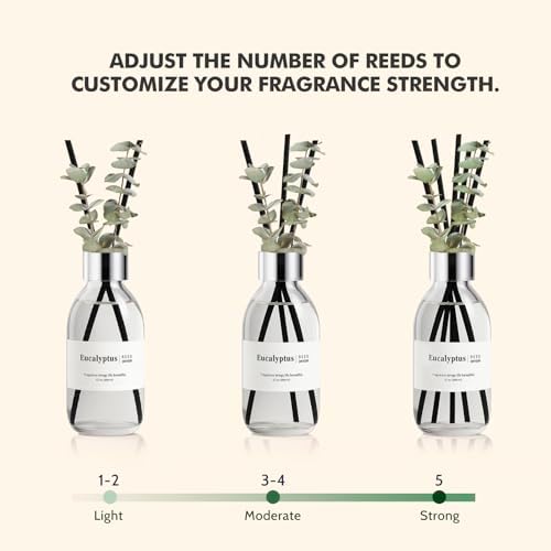 Clesh Reed Diffuser Set, 6.7 oz Eucalyptus Scented Diffuser with Sticks, Home Fragrance Reed Diffuser for Bathroom Shelf Decor
