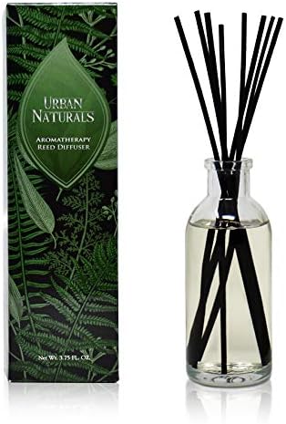 Urban Naturals Coconut Breeze Reed Diffuser Oil Set with Reed Sticks – Warm Coconut, Pineapple and Tahitian Vanilla - Made in The USA