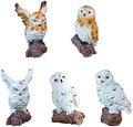 5 Pieces Owls Fairy Garden Miniature Ornaments Mini Animals Resin Figurines for Moss Landscape Bonsai Crafts Home Decor