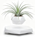 MOOCCI Floating Plant Pot,Levitating Planter for Succulents