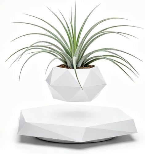 MOOCCI Floating Plant Pot,Levitating Planter for Succulents