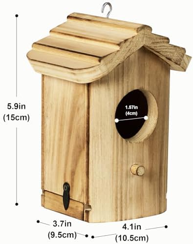 Mini Wooden Birdhouse with Removable Bottom