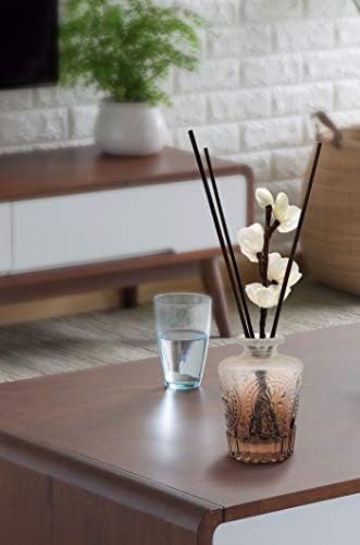 10 inch 20 Pcs Natural Rattan Wood Reed Diffuser Sticks