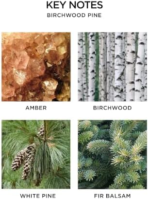 NEST New York Wall Diffuser Set, Birchwood Pine