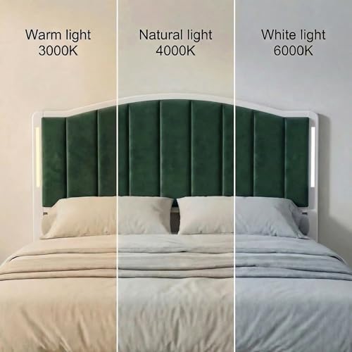 Upholstered Tufting Headboard for King Size Bed with Lights, Green