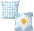 Cottagecore Daisy Decor Pillow Covers 18x18 Set of 2,