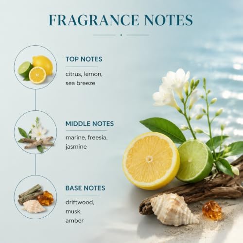 Airkeep Coastal Citrus Reed Diffuser Refill – 6.76 fl oz – Premium Scented Oil for Home Aromatherapy – Long-Lasting Fragrance for Reed Diffusers – Perfect for Bathroom, Bedroom & Home Decor
