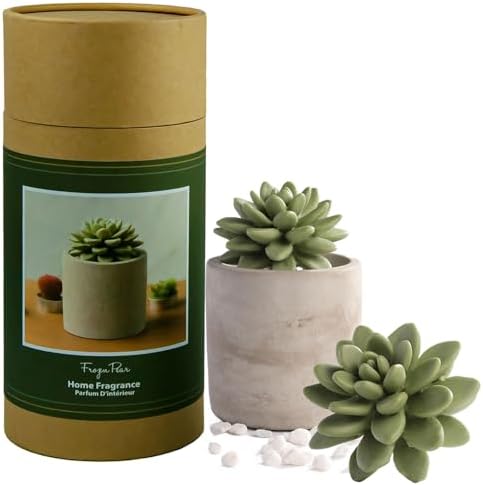 Reed Diffuser Set, Pretty Valley Home Succulent Gypsum Ceramic Fragrance Diffuser Vase Set - 3.38 fl oz (100 ml), Home Fragrance Reed Diffuser (Frozen PEAR S)