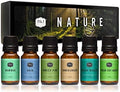 P&J Fragrance Oil Nature Set | Forest Pine, Ocean Breeze, Rain, Fresh Cut Grass, Sandalwood, and Bamboo Candle Scents for Candle Making, Freshie Scents, Soap Making Supplies, Diffuser Oil