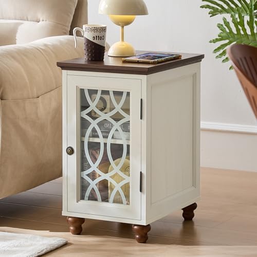 Joaxswe Narrow Side Table with Glass Door Storage