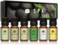 P&J Trading Fragrance Oils for Diffusers for Home Spa Set Fragrance Scents for Candle Making - Soap Making Supplies - Car Diffuser Scents - Essential Home Gift Set - Aloe, Eucalyptus & More