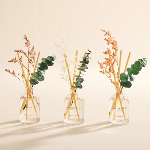 COCORRÍNA Reed Diffuser Set of 3 with Dried Eucalyptus for Home & Office
