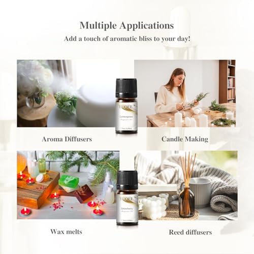 EUQEE 12 Pcs Fragrance Oils Gift Set for Aromatherapy
