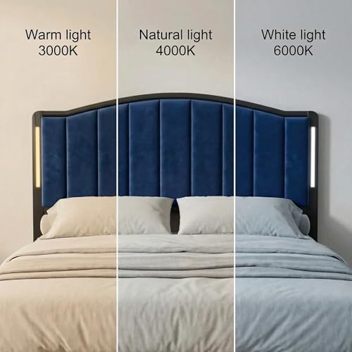 Upholstered Tufting Headboard for King Size Bed with Lights, Blue