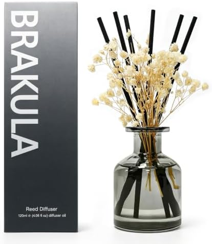 Brakula Reed Diffuser Set, Eucalyptus & Wild Mint Scent, 4.06 fl oz
