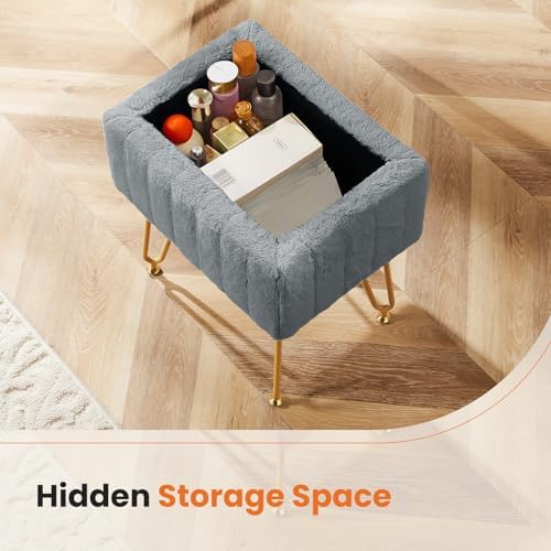 DUMOS Vanity Stool Chair, Ottoman with Storage for Living Room, Bedroom