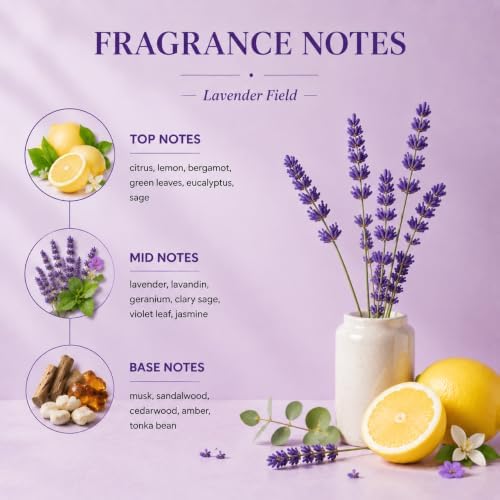 Airkeep Lavender Field Reed Diffuser Refill – 6.76 fl oz – Premium Scented Oil for Home Aromatherapy – Long-Lasting Fragrance for Reed Diffusers – Perfect for Bathroom, Bedroom & Home Decor