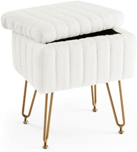 DUMOS Vanity Stool Chair, Ottoman with Storage for Living Room, Bedroom