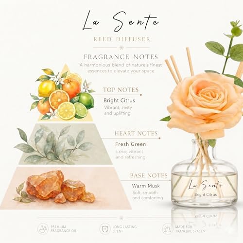 Bright Citrus Reed Diffuser Set 8.5oz / 250ml
