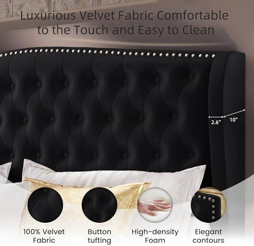 BRELTAM Upholstered Queen Size Bed Frame Velvet Black Tufted Platform Bed Frame with Wingback Headboard & Footboard, with Deep Button Tufted & Nailhead Wooden Slats Support, No Box Spring Needed