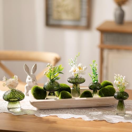Hanobe Wood Decorative Bowl for Coffee Table Entryway Decor, Rustic White