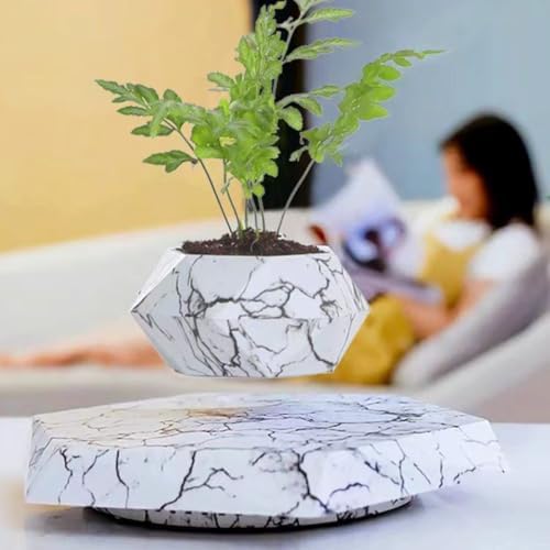 MOOCCI Floating Plant Pot, Levitating Plant Pot for Succulents