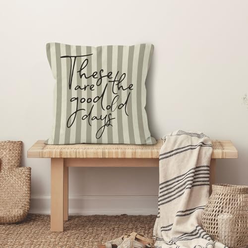 Inspirational These are the Good Old Days Throw Pillow Cover 18x18, Positive Motivational Decorative Pillow Covers for Home Living Room Bedroom, Neutral Striped Accent Pillows Cover Pillowcases