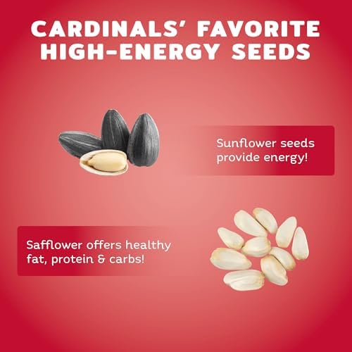 Audubon Park Cardinal Wild Bird Seed, 8 lb