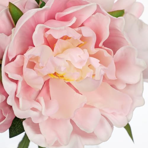 Hollyone Pink Peonies Artificial Flowers with Glass Vase Medium 7.8inch Faux Peonies Look Real Peony Fake Flowers Silk Flower Arrangements with Faux Water for Wedding Table Centerpiece Home Decor