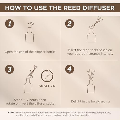 Reed Diffuser Set,Berry Zest Scented,100ml(3.38 oz)