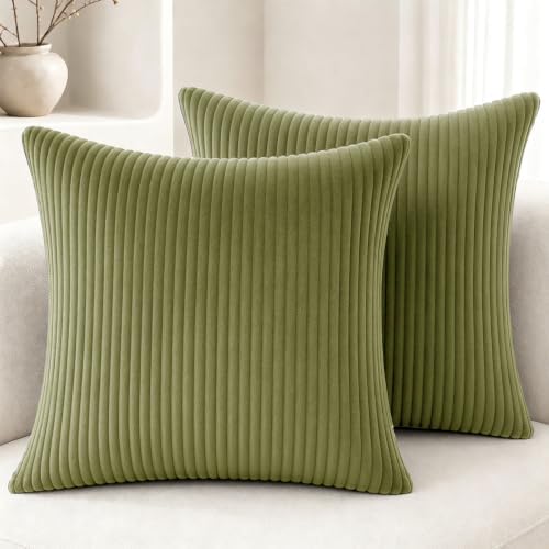 2 Pack 18 x 18 Decorative Throw Pillows with Insert Included