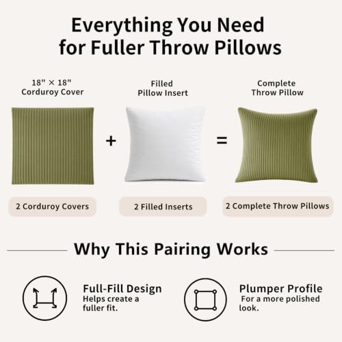 2 Pack 18 x 18 Decorative Throw Pillows with Insert Included