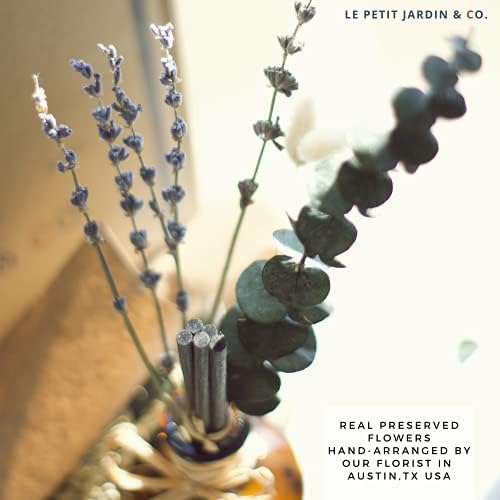Reed Diffusers - Oil Sticks Diffuser Set with Real Dried Flowers - Reed Diffusers for Home, Bathroom & Office | Air Freshener Fragrance Sticks for Shelf Decor & Gifts by Le Petit Jardin & Co.