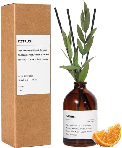 Reed Diffuser Set, Citrus Scent, 3.4 fl oz, Oil Diffusers with Sticks