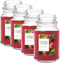 Yankee Candle Macintosh, Fall Scented Candle, 22oz Large Jar with up to 150 Hour Burn Time (Pack of 4)