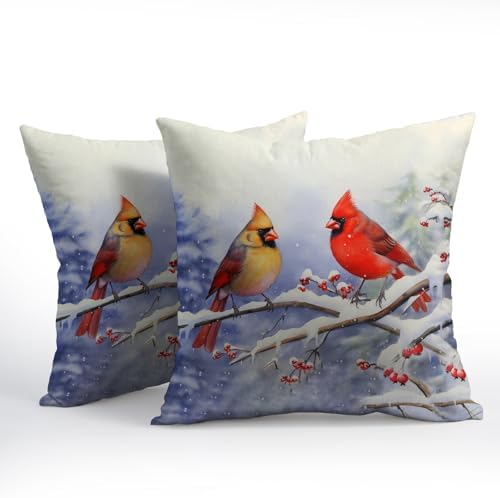 Cardinal Birds Throw Pillow Cover Winter Sweet Bird Pillowcase 24x24 Inch Set of 2 Christmas Holiday Cushion Covers for Home Patio Sofa Bedroom Decor