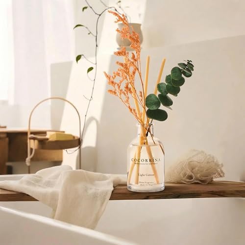 COCORRÍNA Reed Diffuser Set of 3 with Dried Eucalyptus for Home & Office