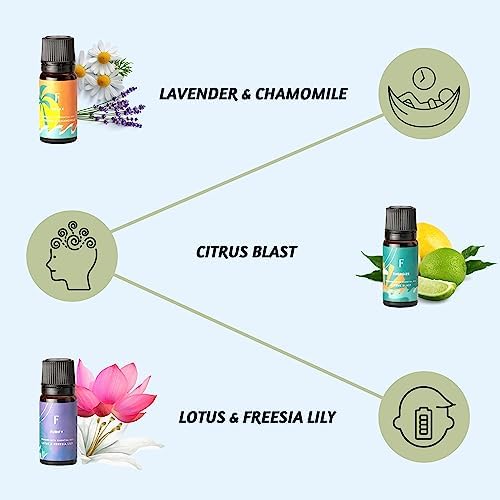 Folkulture Essential Oils Set for Diffuser | Set of 6 Everyday Aromatherapy Oils | Palo Santo, Lavender, Sandalwood, Citrus & Balanced Blend Oils | AM to PM Home Fragrance Oils & Wellness Gift Set
