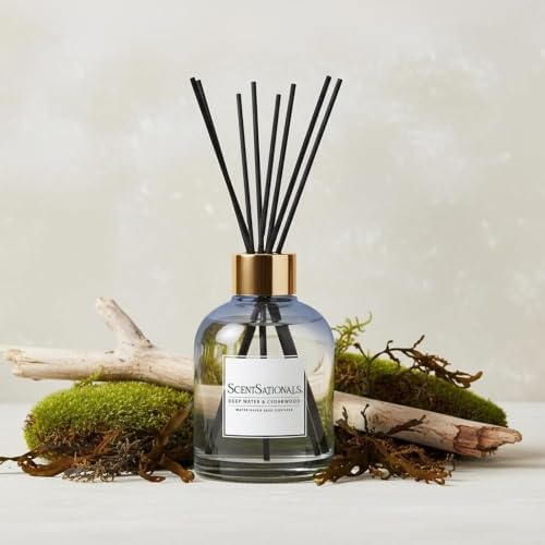 ScentSationals Deep Water & Cedarwood Water-Based Reed Diffuser - 5 FL OZ