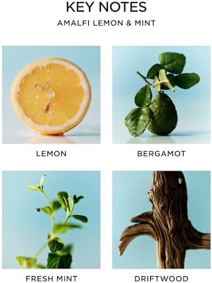 NEST New York Liquid Soap, Amalfi Lemon & Mint - 10 fl oz