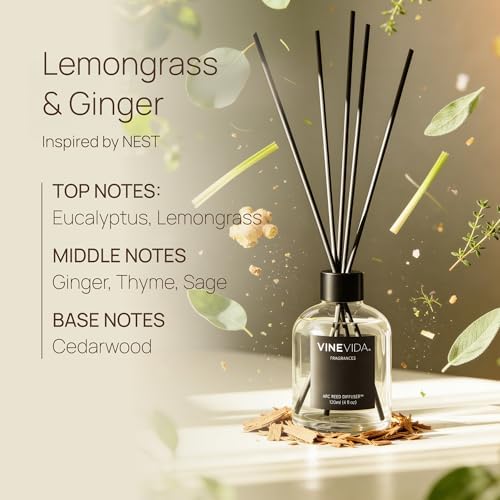 VINEVIDA Reed Diffuser Lemongrass & Ginger | Diffuser Reed for Home & Bathroom | Long-Lasting Scent Sticks Set | Oil Stick Diffuser | Bathroom Scent