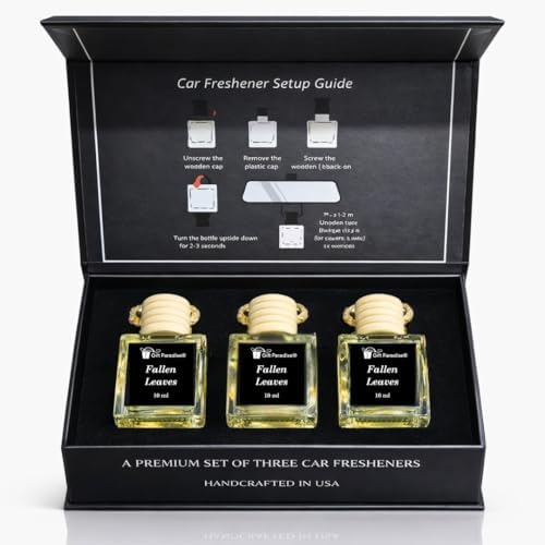 Gift Paradise® Fallen Leaves Car Air Freshener Set of 3, 10 ml Hanging Diffuser Bottles with Wooden Cap, Warm Autumn Scent, Luxury Car & Small Space Fragrance, Premium Magnetic Gift Box