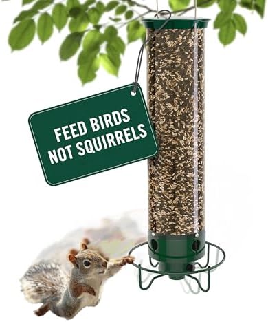 Droll Yankees Squirrel Proof Bird Feeder for Outdoors, 5 lb Seed Capacity