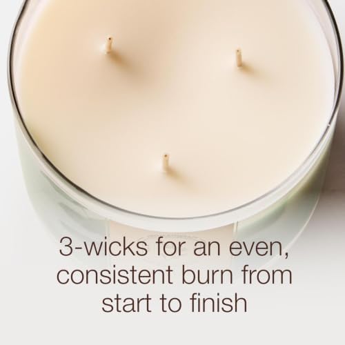 Bath & Body Works 3-Wick Candle, Cinnamon Spiced Vanilla Scent
