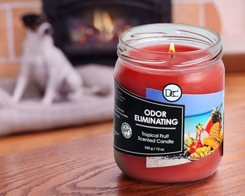 Tropical Fruit Two Pack Odor Eliminating Highly Fragranced Candle - Eliminates 95% of Pet, Smoke, Food, and Other Smells Quickly - Up to 80 Hour Burn time - 12 Ounce Premium Soy Blend