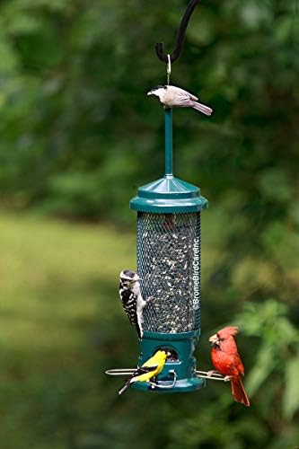 Squirrel Buster Legacy Truly Squirrel-Proof Bird Feeder