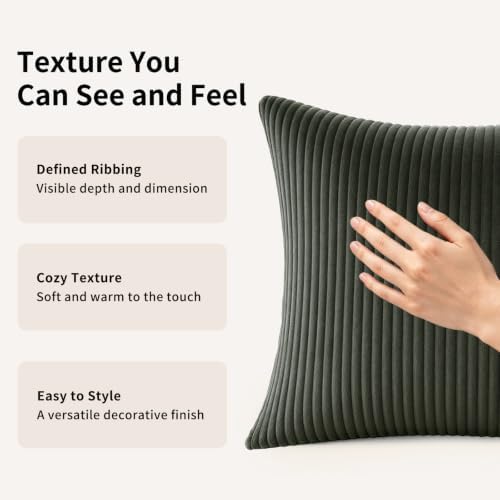 2 Pack 18 x 18 Decorative Throw Pillows with Insert Included