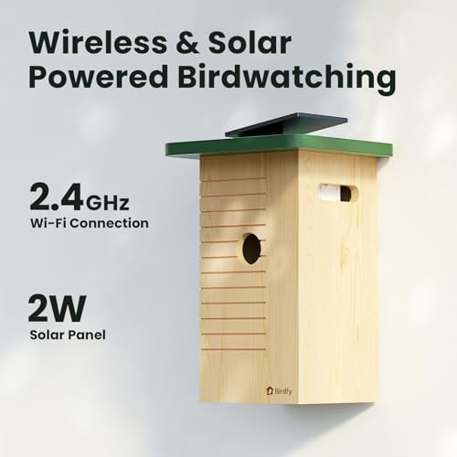 Birdfy Smart Bird House with Camera Solar Powered, 1080HD Live Video & Night Vision for 24/7 Nesting Recording, Auto Detect & Notify, Ideal Nature Gift for Bird Lovers, AI Identify Lifetime Free