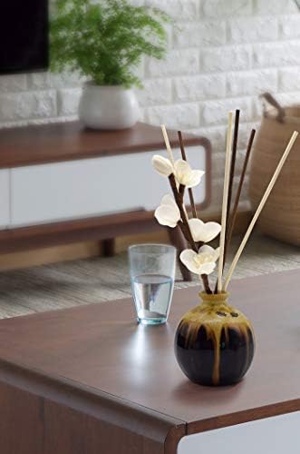 10 inch 20 Pcs Natural Rattan Wood Reed Diffuser Sticks